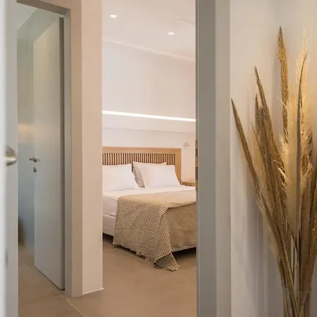 Beautiful Paros 1 Bedroom Rock Private Jacuzzi & Garden View Vila